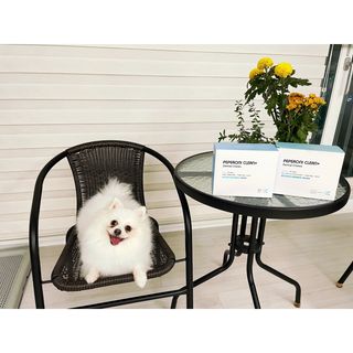 심쿵해에님이 올린 리뷰 사진 2