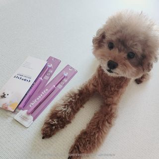 리뷰하는래미씨님이 올린 리뷰 사진 1