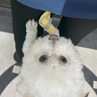 JennyJeong님이 올린 리뷰 사진 3