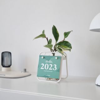 [메이크정글] 식물과 달력이 하나로, 2023년 식물캘린더 No.1 — 5점을 준 리뷰어가 2022년 10월 올린 사용 사진