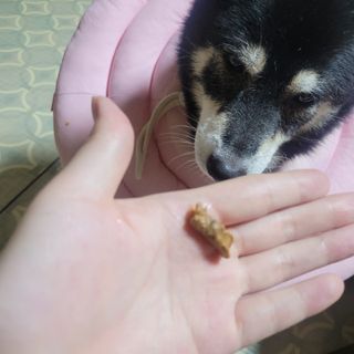 EunsunKim님이 올린 리뷰 사진 3