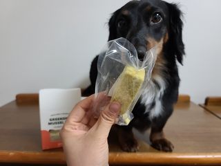베이컨박스 [BACON] 강아지 수제간식 간편 동결건조 스튜 2종 - 황태, 초록 홍합 — 5점을 준 리뷰어가 2020년 12월 올린 사용 사진