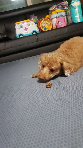 다둥맘님이 올린 리뷰 사진 4