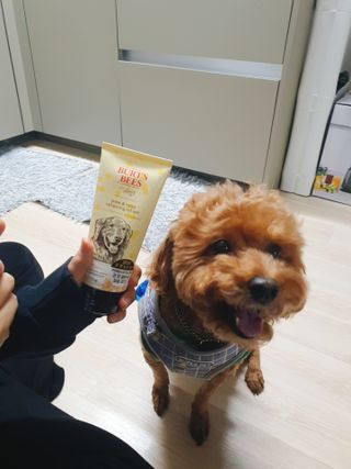 벼뤼님이 올린 리뷰 사진 3
