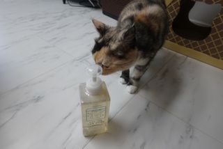 아토컴피 신생아와 반려동물도 사용가능한 고농축 세탁세제 섬유유연제 500ml 세트 (독일 피부과 임상시험 완료) — 5점을 준 리뷰어가 2022년 9월 올린 사용 사진