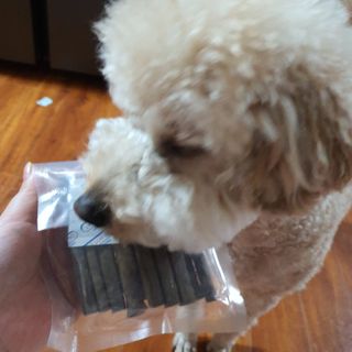 My Pet Care 천연단백질 치아건강에 개좋아 — 5점을 준 리뷰어가 2021년 3월 올린 사용 사진