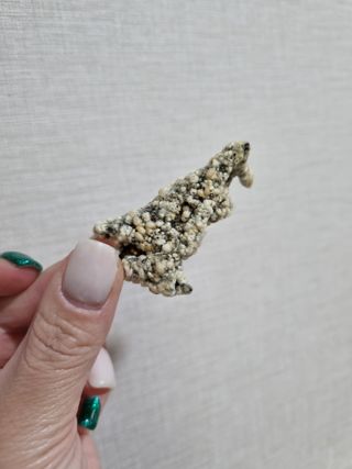 단지단지님이 올린 리뷰 사진 3
