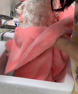 앙두님이 올린 리뷰 사진 3