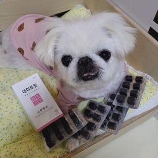 mini unni님이 올린 리뷰 사진 1