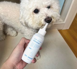 [댕모어 클리너 3종] 아이클리너 / 이어클리너 / 덴탈클리너 3종 세트 (120ml) — 5점을 준 리뷰어가 2023년 9월 올린 사용 사진