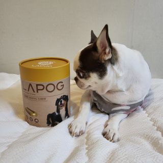 mini unni님이 올린 리뷰 사진 2