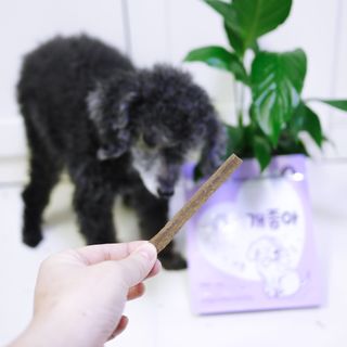 My Pet Care 천연단백질 치아건강에 개좋아 — 5점을 준 리뷰어가 2020년 12월 올린 사용 사진