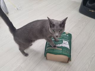 단츄♡님이 올린 리뷰 사진 1