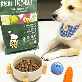 [푸디웜] 라포그  리얼인섹트 웨이트밸런스 저알러지 강아지 사료  1.2KG — 5점을 준 리뷰어가 2022년 7월 올린 사용 사진