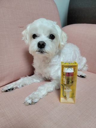 무지조타 반려동물용 꽃으로만든영양제 헬리코디펜스 15ml — 4점을 준 리뷰어가 2021년 8월 올린 사용 사진