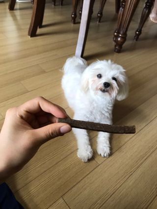 juj1230z님이 올린 리뷰 사진 1