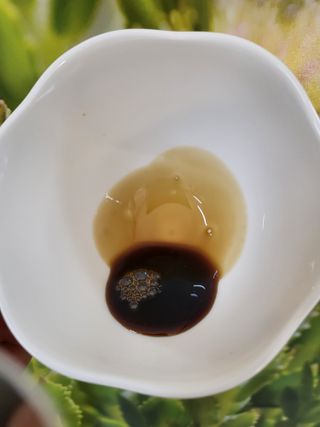 서울약사신협_6년근 고려홍삼정 천스틱 10g 30포 — 5점을 준 리뷰어가 2021년 11월 올린 사용 사진
