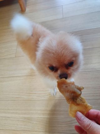 보미누나님이 올린 리뷰 사진 1