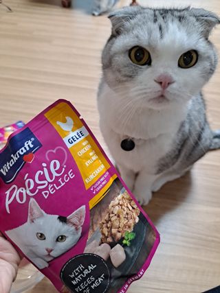 라니으니님이 올린 리뷰 사진 2