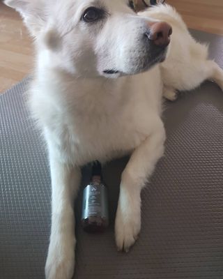 마리앤루이펫샴푸 [mari and louie pet shampoo] — 5점을 준 리뷰어가 2021년 5월 올린 사용 사진