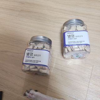 페페로니 자기전에 먹는 저알러지 껌 세트 치킨+오리 — 5점을 준 리뷰어가 2021년 8월 올린 사용 사진