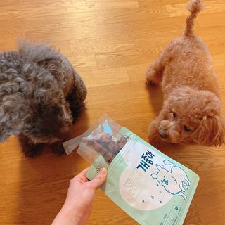 My Pet Care 천연단백질 눈건강에 개좋아 — 5점을 준 리뷰어가 2021년 3월 올린 사용 사진
