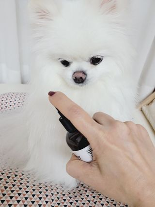 에일린님이 올린 리뷰 사진 2