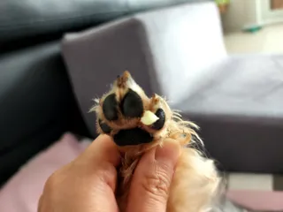 딸기맘님이 올린 리뷰 사진 3