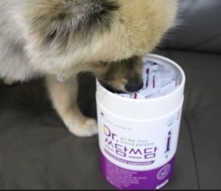 큰방구님이 올린 리뷰 사진 2