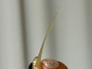 메디포스트 모비타 글루타치온 이지 필름형 30매 — 5점을 준 리뷰어가 2022년 12월 올린 사용 사진