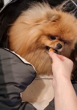 아롱이님이 올린 리뷰 사진 2
