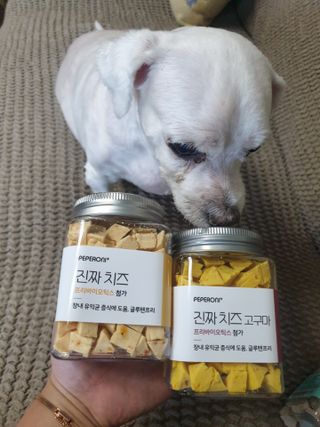 진진이님이 올린 리뷰 사진 2