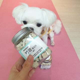 페페로니 자기전에 먹는 저알러지 껌 세트 치킨+오리 — 5점을 준 리뷰어가 2021년 7월 올린 사용 사진