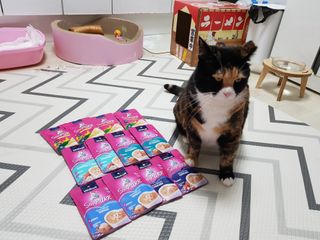 솔탄이love님이 올린 리뷰 사진 2