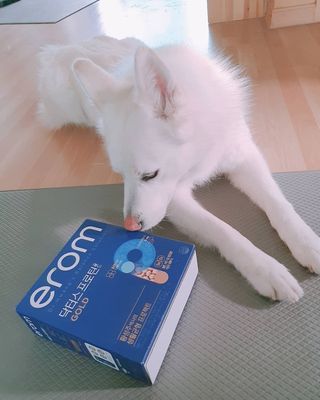 딸랑구둘🥰님이 올린 리뷰 사진 2