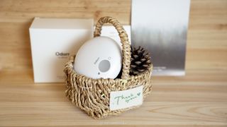 Amina님이 올린 리뷰 사진 1