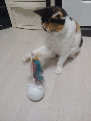 홍제이님이 올린 리뷰 사진 2