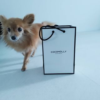 Rushx님이 올린 리뷰 사진 2