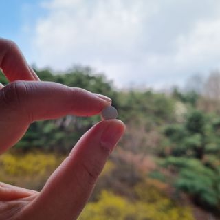 ssoook님이 올린 리뷰 사진 1