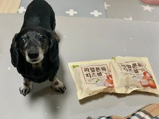 콩이누나님이 올린 리뷰 사진 1