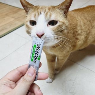 하린님이 올린 리뷰 사진 2