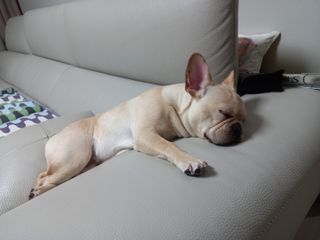 얼음중전님이 올린 리뷰 사진 2