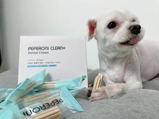페페로니 클린플러스 덴탈치킨껌 10g x 14p — 3점을 준 리뷰어가 2021년 7월 올린 사용 사진