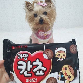 솜희님이 올린 리뷰 사진 3
