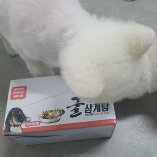 도레파스 굴삼계탕 - 강아지용 — 5점을 준 리뷰어가 2021년 3월 올린 사용 사진