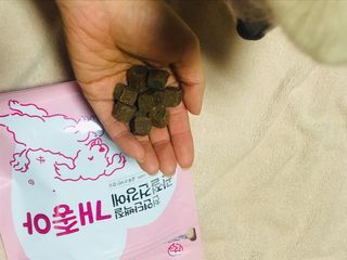 My Pet Care 천연단백질 관절건강에 개좋아 — 5점을 준 리뷰어가 2021년 1월 올린 사용 사진