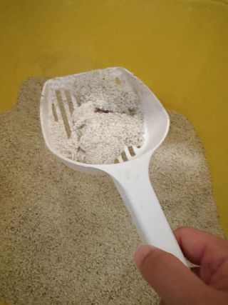앙콩소소님이 올린 리뷰 사진 3