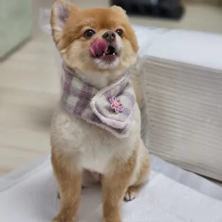 미뎡님이 올린 리뷰 사진 1