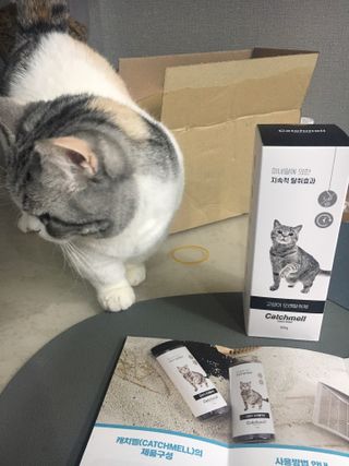 케이트25님이 올린 리뷰 사진 3