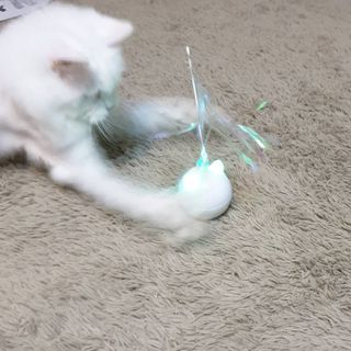 suususu님이 올린 리뷰 사진 2